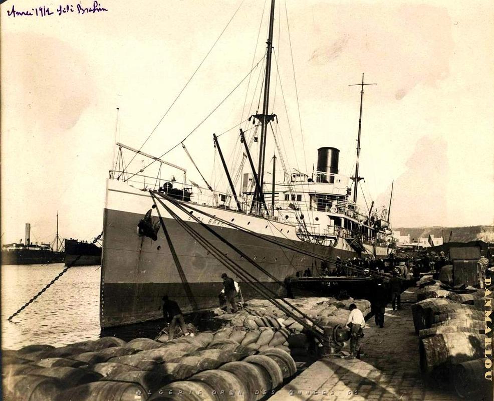 PO e- 381.jpg